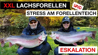 STRESS am Forellenteich | UNGLAUBLICH was hier abgeht 😱 XXL Forellen und viel mehr