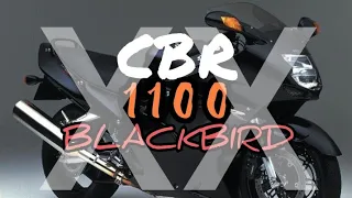 Honda CBR 1100xx (super) BLACKBIRD | Najszybszy motocykl lat 90