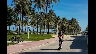 Miami commission votes to banish electric scooters from its streets - The Verge