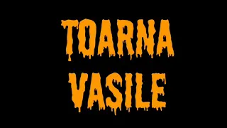 PAVEL STRATAN -VASILE TOARNA