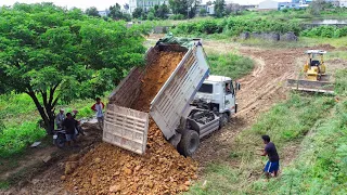 Starting Open New Project! fill up land Processing 5ton dump truck & Mini dozer push soil clear land