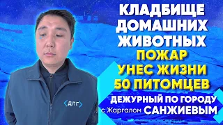 Кладбище домашних животных | ДПГ. Неделя