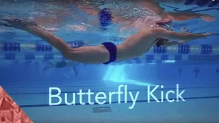 Butterfly swimming kick. Improve your underwater and fly kick. Beginners and Intermediate