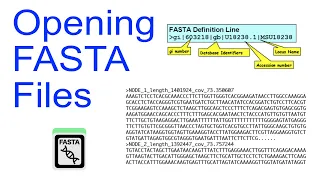 Opening FastA files