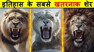अब तक की 10 सबसे शक्तिशाली शेर प्रजातियाँ | 10 Most Powerful Lion Species Of All Time