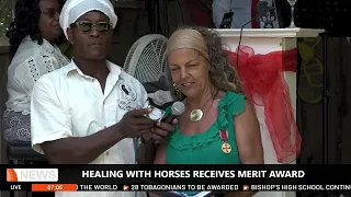 HEALING WITH HORSES RECEIVES MERIT AWARD