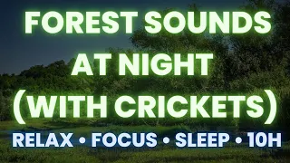 Forest Sounds at Night • With Crickets • No Wind • 10H