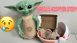 Baby Yoda Gorgu's Adoption Story