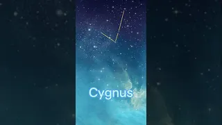 Cygnus