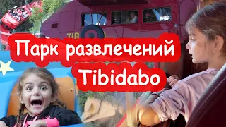 VLOG Впервые на самолёте. Встреча с дикими кабанами