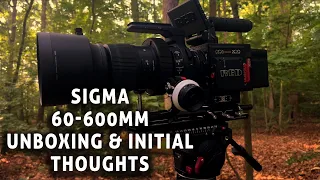 Sigma 60-600mm Lens Unboxing | Why I Got This Lens | Initial Thoughts | Wildlife Samples