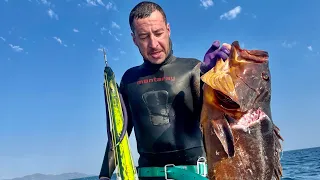 Spearfishing dusky groupers of 2023 @spearfishing @grouper @neptunus ​@mantaray