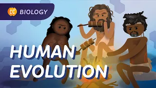 How Did Humans Evolve? Crash Course Biology #19