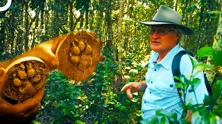 The Story Of The Tiger Creature Thought To Have Disappeared 4000 Years Ago | Boogeymen | Episode 24