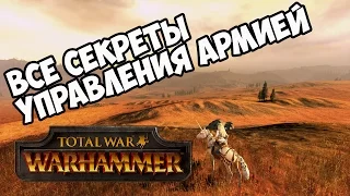 Управление армией 🏆 Total War Warhammer