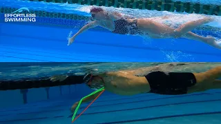 Amateur vs Pro Swimmer | What’s the difference?