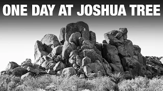 One Day at Joshua Tree