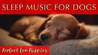 Soothing Music for Dogs and Puppies to Sleep To ♫ Calm and Relax Your Dog Effectively