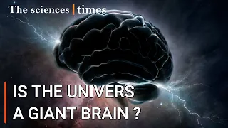 Is the Univers a Giant Brain ?