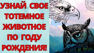 СЛАВЯНСКИЙ ГОРОСКОП ПО ГОДАМ! Кто ты по славянскому гороскопу? Тотемное животное по году рождения!