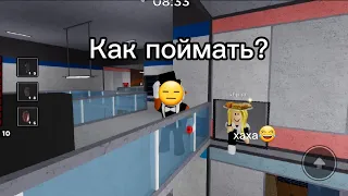 Как поймать "кемперов" в пигги каторие затягивают время?🤔/ ловушки в пигги каторие помагают🙀