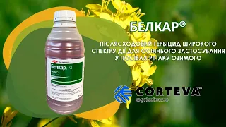 Белкар гербіцид для ріпаку озимого від однорічних дводольних бур’янів (CORTEVA)