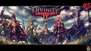 Прохождение. Divinity: Original Sin 2. Драка с "Молох пустоты" #5