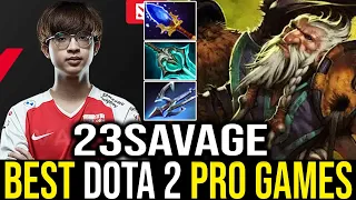 23Savage - Lone Druid | Dota 2 Pro Gameplay [Learn Top Dota]