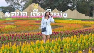 CHARMING Chiang Mai Flower Festival 2022