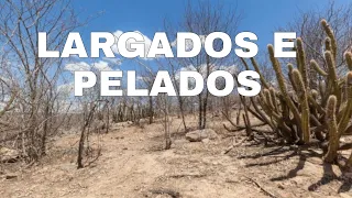 LARGADOS E PELADOS - TEMPORADA NA SELVA AMAZÔNICA DO BRASIL