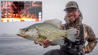 Ice Fishing MEGA SCHOOLS of BIG CRAPPIES! (Underwater Livescope Footage)