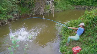 Fishing Video. Beautiful Girl Hunting Big Black Carp