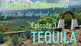 TEQUILA, JALISCO 2021  |  Touring the legendary Fortaleza distillery  |  tons of cantaritos | MEXICO
