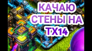 Качаю стены на тх14 | Чекаю базы |  ➤ Clash of Clans