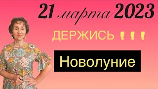 🔴 21 марта 2023 НОВОЛУНИЕ 🔴 ДЕРЖИСЬ ! ! ! …… от Розанна Княжанская