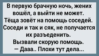 В Брачную Ночь Жених Застрял! Сборник Свежих Анекдотов! Юмор!