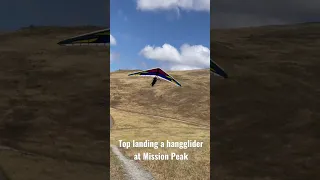 Jess top lands her willswing s3 hangglider