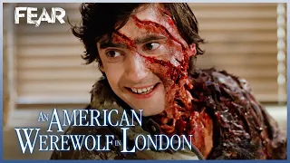 "Beware The Moon, David" | An American Werewolf In London