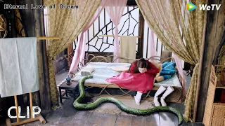 Fengjiu is afraid of snakes, but when she wakes up, she finds herself sleeping next to a snake