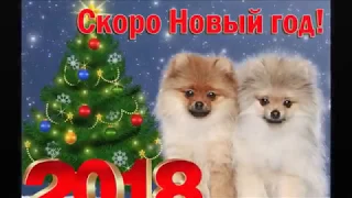 Год желтой земляной собаки 2018 новогоднее поздравление красивое