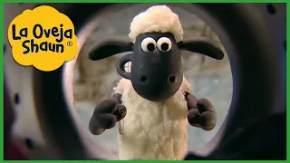 La Oveja Shaun 🐑 Shaun está contento, ¡descubre por qué! 🐑 Dibujos animados para niños