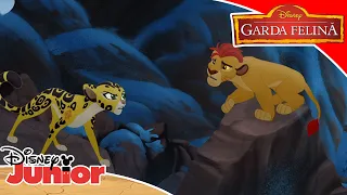 🌳 Copacul Vieții | Garda Felină | Disney Junior România