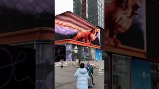 real lion 3D projector