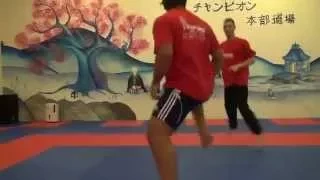 Aghayev - Gyaku Tsuki Training w/ Lefevre