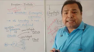 Lecture 3   Biological Classification