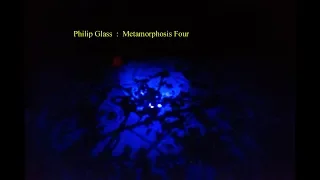 Glass : Metamorphosis Four