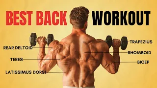 Best Back Exercises with Dumbbells | Interactive Workouts