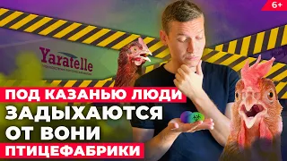 Птицефабрика Yaratelle травит жителей поселков под Казанью: чем опасна вонь от куриного помета