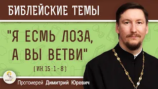 "Я есмь лоза, а вы ветви" (Ин.15:1-8)  Протоиерей Димитрий Юревич