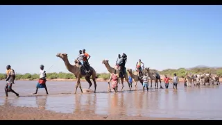 Camel Caravan 2019